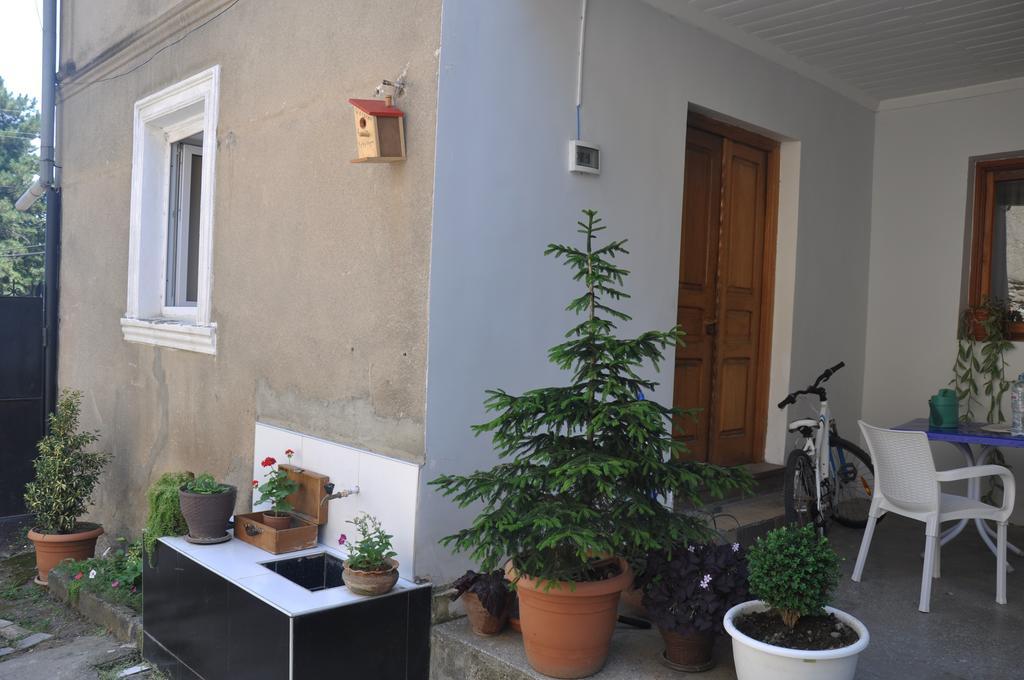 Tin-Tina Guesthouse Telavi Exterior photo